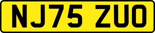 NJ75ZUO