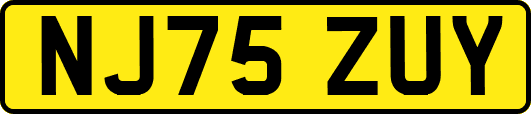 NJ75ZUY