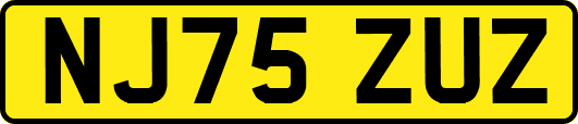 NJ75ZUZ