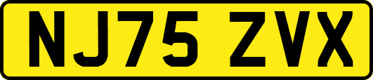 NJ75ZVX