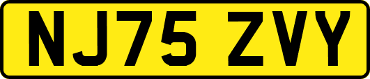 NJ75ZVY