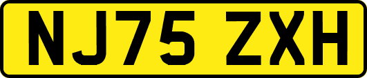 NJ75ZXH