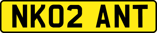 NK02ANT