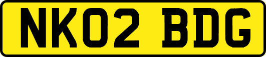 NK02BDG