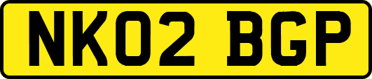 NK02BGP