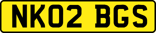 NK02BGS