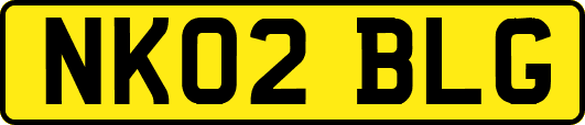 NK02BLG