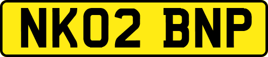 NK02BNP