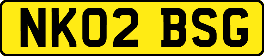 NK02BSG
