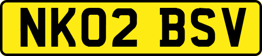 NK02BSV