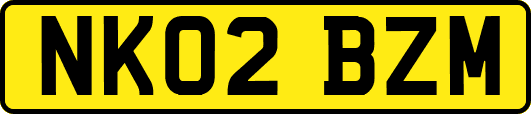NK02BZM