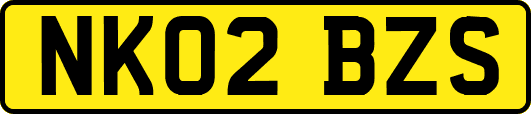 NK02BZS