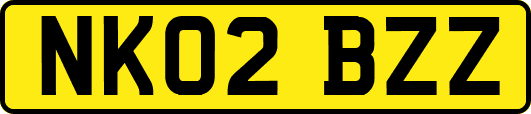 NK02BZZ