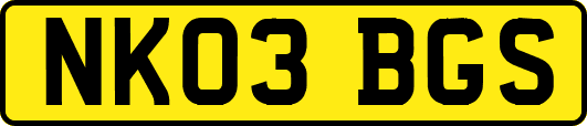 NK03BGS