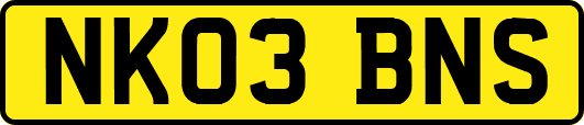NK03BNS