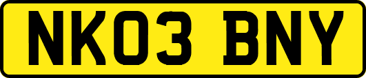 NK03BNY