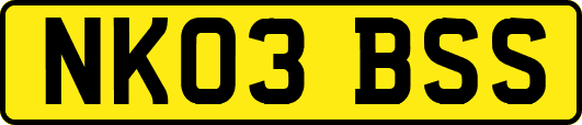 NK03BSS