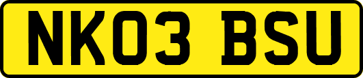 NK03BSU