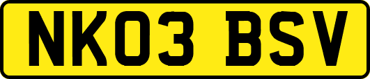 NK03BSV