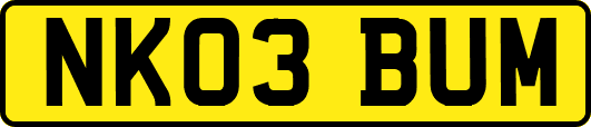 NK03BUM