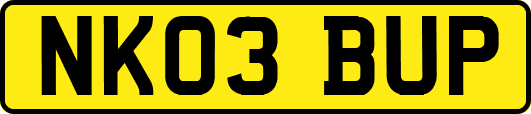 NK03BUP