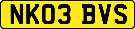 NK03BVS