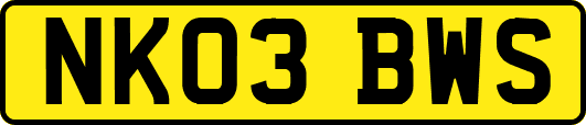 NK03BWS