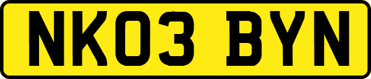 NK03BYN