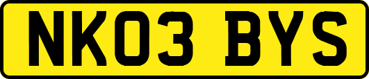 NK03BYS