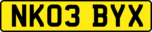 NK03BYX