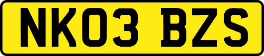 NK03BZS