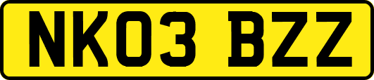 NK03BZZ