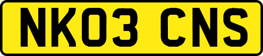 NK03CNS