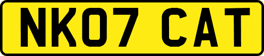 NK07CAT