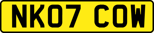 NK07COW