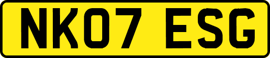 NK07ESG