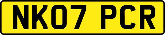 NK07PCR