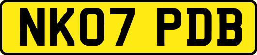 NK07PDB