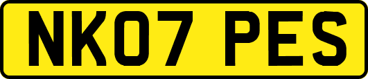 NK07PES