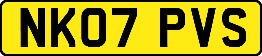 NK07PVS