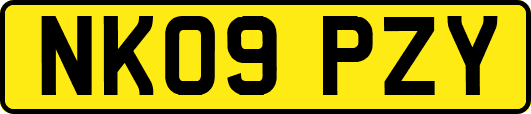 NK09PZY