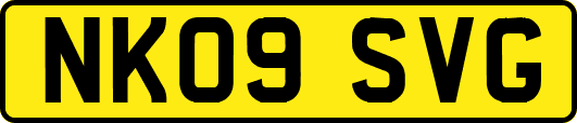 NK09SVG