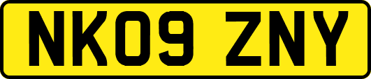 NK09ZNY