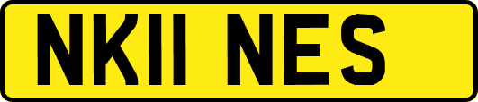 NK11NES