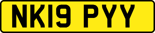 NK19PYY