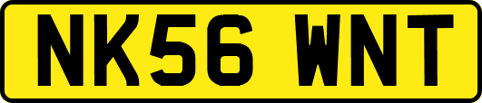 NK56WNT