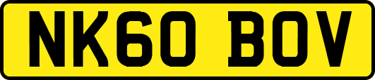 NK60BOV