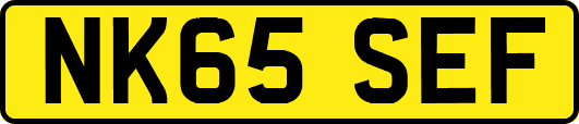 NK65SEF