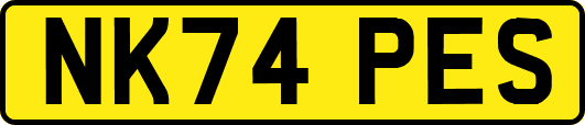 NK74PES