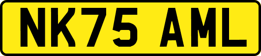 NK75AML